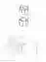 Fig. 02 - IV flow regulator