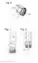 Fig. 04 - Drug administering device and assembly method therefor