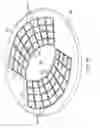 Fig. 35 - RAPID CLOSING SURGICAL CLOSURE DEVICE