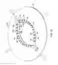 Fig. 43 - RAPID CLOSING SURGICAL CLOSURE DEVICE