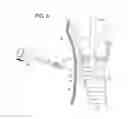 Fig. 05 - TUBE TIP BEVEL TO AID WIRE GUIDE INSERTION
