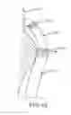 Fig. 80 - Robotic catheter system