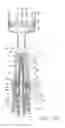 Fig. 14 - Medical connectors and methods of use