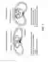 Fig. 02 - Coordinated Resuscitation Perfusion Support