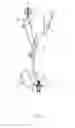 Fig. 05 - Rope access equipment