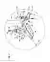 Fig. 06 - HAND POWERED HYDRAULIC RESCUE STRUT