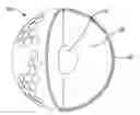 Fig. 02 - Thermoplastic Multi-Layer Golf Ball