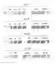 Fig. 15 - Methodology for creating sets of related word games and puzzles based on linking rationally chosen letter pairs and/or triplets and linking words that are transformations of each other