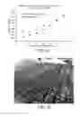 Fig. 06 - Hydrophobic air-gap membrane distillation