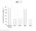 Fig. 02 - SOLID SUPPORT INCLUDING A POLYMER AND USE THEREOF