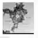 Fig. 01 - Hollow metal nanoparticles