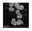 Fig. 07 - Hollow metal nanoparticles