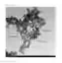 Fig. 09 - Hollow metal nanoparticles