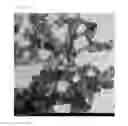 Fig. 10 - Hollow metal nanoparticles