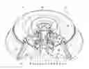Fig. 01 - Coupling device for a laboratory centrifuge actuated by centrifugal force