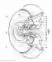 Fig. 02 - Coupling device for a laboratory centrifuge actuated by centrifugal force