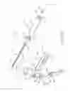 Fig. 09 - Device for holding and dispensing viscous material