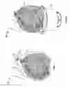 Fig. 06 - Sifting Bag and Method for Storing and Sorting Plant Materials and Foods