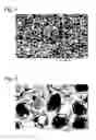 Fig. 04 - Method and apparatus for producing microporous metal foil