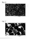 Fig. 05 - Method and apparatus for producing microporous metal foil