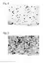 Fig. 06 - Method and apparatus for producing microporous metal foil