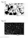 Fig. 07 - Method and apparatus for producing microporous metal foil