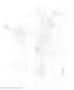Fig. 17 - Tapered structure construction