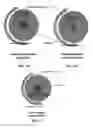 Fig. 02 - Fabrication tools for exerting normal forces on feedstock