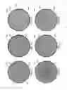 Fig. 08 - Polishing pads produced by an additive manufacturing process