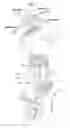 Fig. 07 - Annular spring and robot joint mechanism using the same