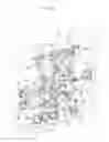 Fig. 11 - Apparatus for injection molding of plastic material