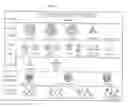 Fig. 02 - PROCESSES FOR PROVIDING CONTROLLED DENSITY ARTICLES