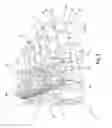 Fig. 05 - Apparatus and method for expanding and erecting collapsed or folded cardboard packagings to standing arranged compartments and/or outer packagings