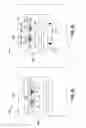 Fig. 20 - METHOD OF MANUFACTURING A VARIABLE-RADIUS LAMINATED RADIUS FILLER