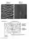 Fig. 02 - System for and method of producing a security mark on a micro-porous structure