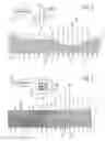 Fig. 03 - System for and method of producing a security mark on a micro-porous structure