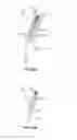 Fig. 11 - Sheet holder
