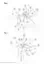 Fig. 03 - Wrap