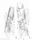 Fig. 03 - Longitudinally adjustable vehicle seat