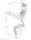 Fig. 06 - VEHICLE INTERIOR LIGHTING STRUCTURE
