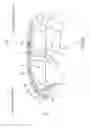 Fig. 02 - Vehicular curtain air-bag device, and mounting structure for same