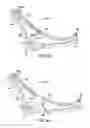 Fig. 20 - Vehicle front suspension