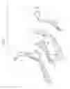 Fig. 03 - Vehicle body side structure