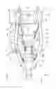Fig. 09 - Engine supporting structure for saddle riding type vehicle
