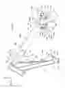 Fig. 10 - Engine supporting structure for saddle riding type vehicle