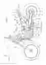 Fig. 03 - Vehicle body frame structure for saddle-type vehicle