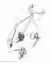 Fig. 01 - Bicycle single-acted gear-shifting device and its unidirectional operator mechanism