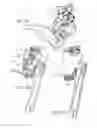 Fig. 04 - Bicycle single-acted gear-shifting device and its unidirectional operator mechanism