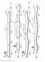 Fig. 12 - System and method of transporting over water with multiple vessels
