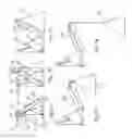 Fig. 07 - Evacuation system